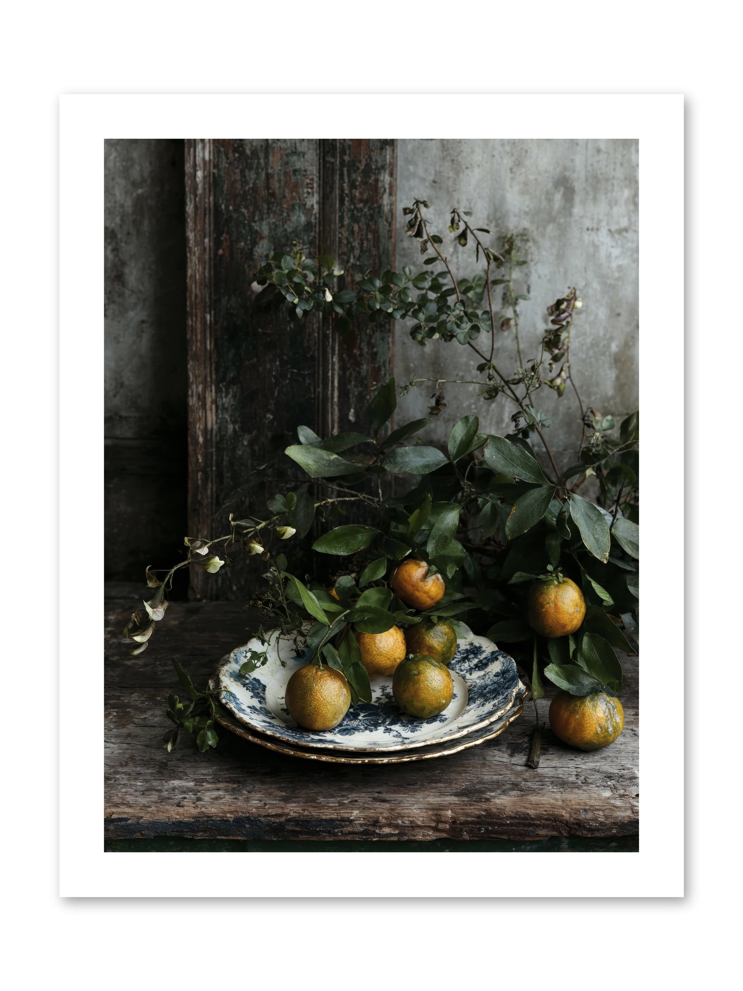 Eglatine -- Loose Canvas Print 12x16