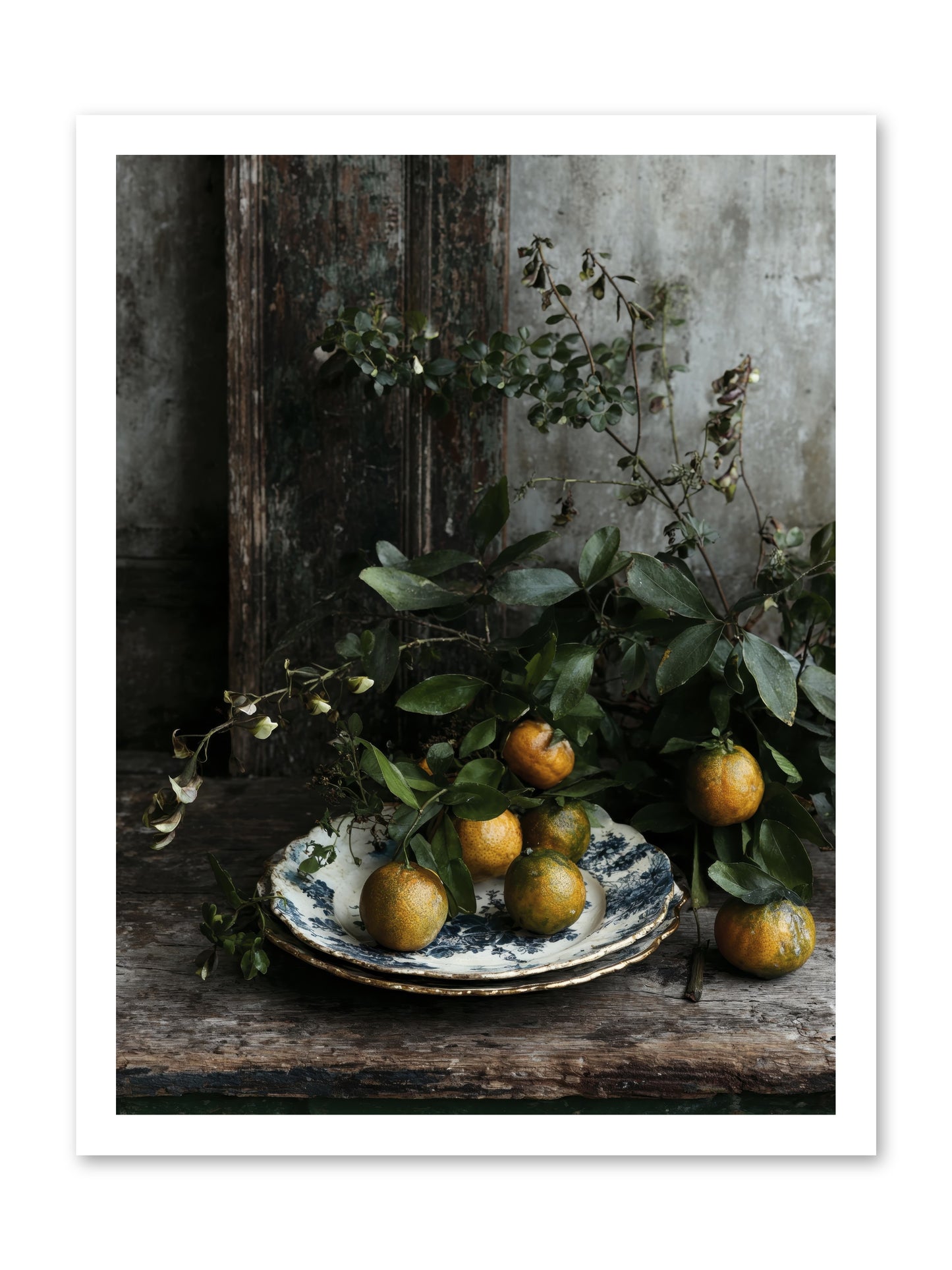 Eglatine -- Paper Print 18x24