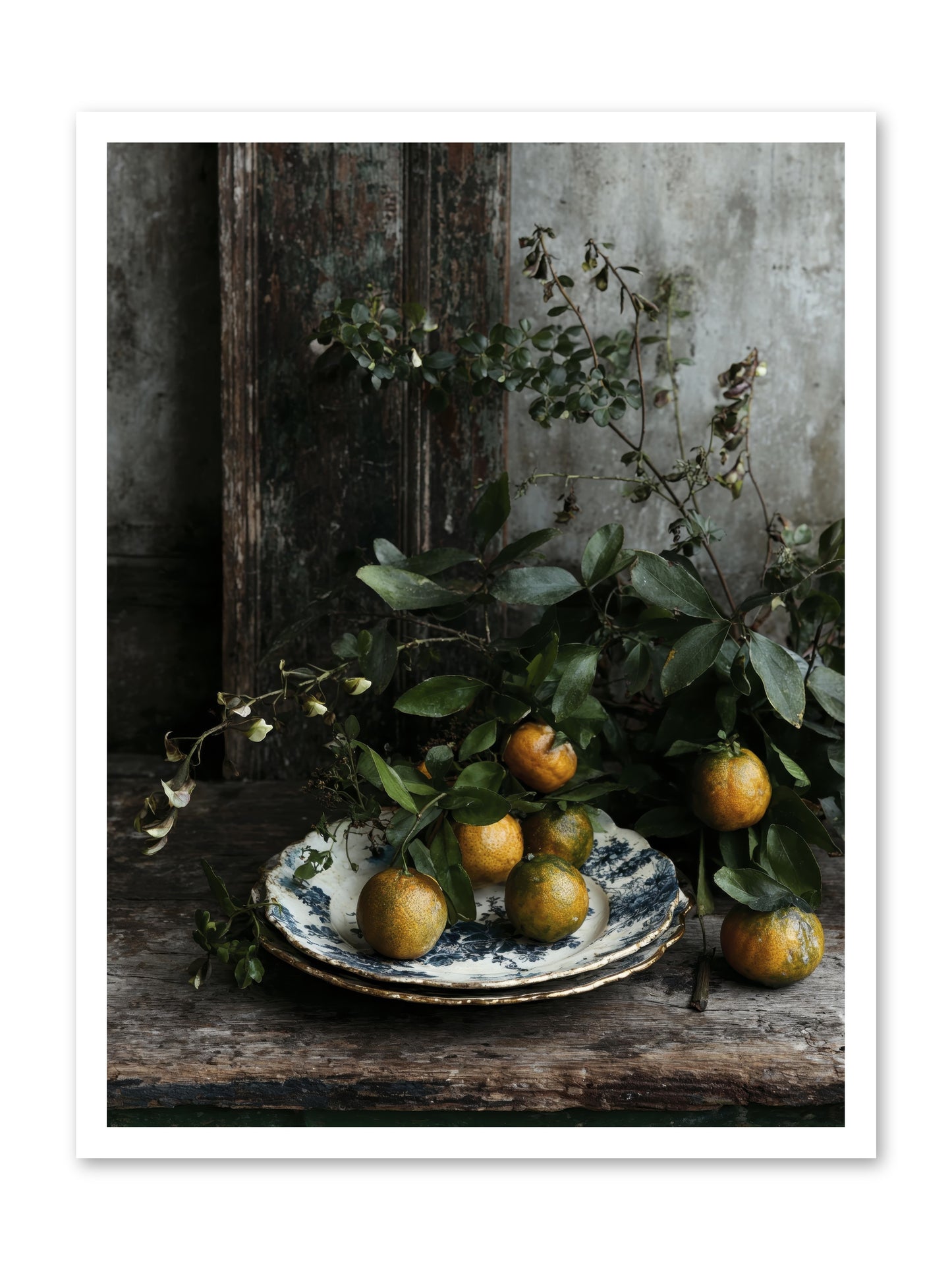 Eglatine -- Paper Print 24x32