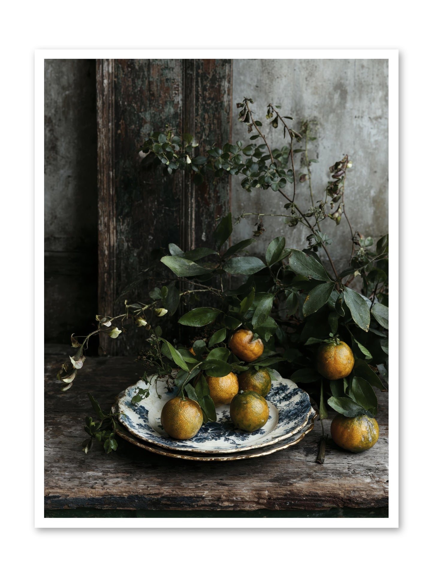 Eglatine -- Loose Canvas Print 36x48