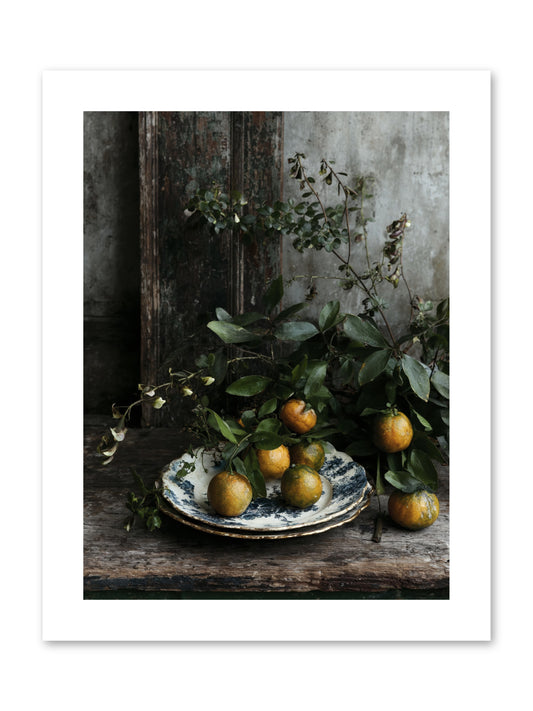 Eglatine -- Paper Print 9x12