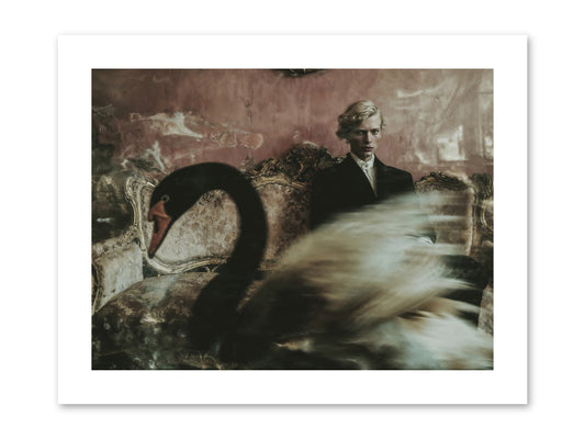 Evening Creatures -- Paper Print 12x9