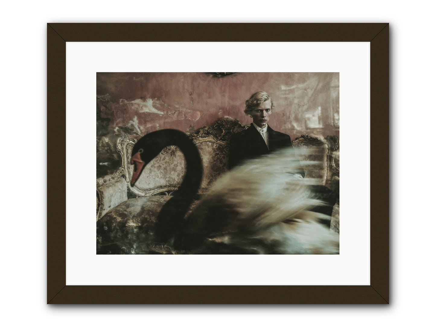 Evening Creatures -- Framed Print - Black 16x12