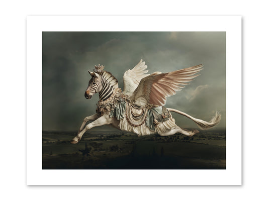 Field Guide to Heartlight No.1 -- Paper Print 12x9