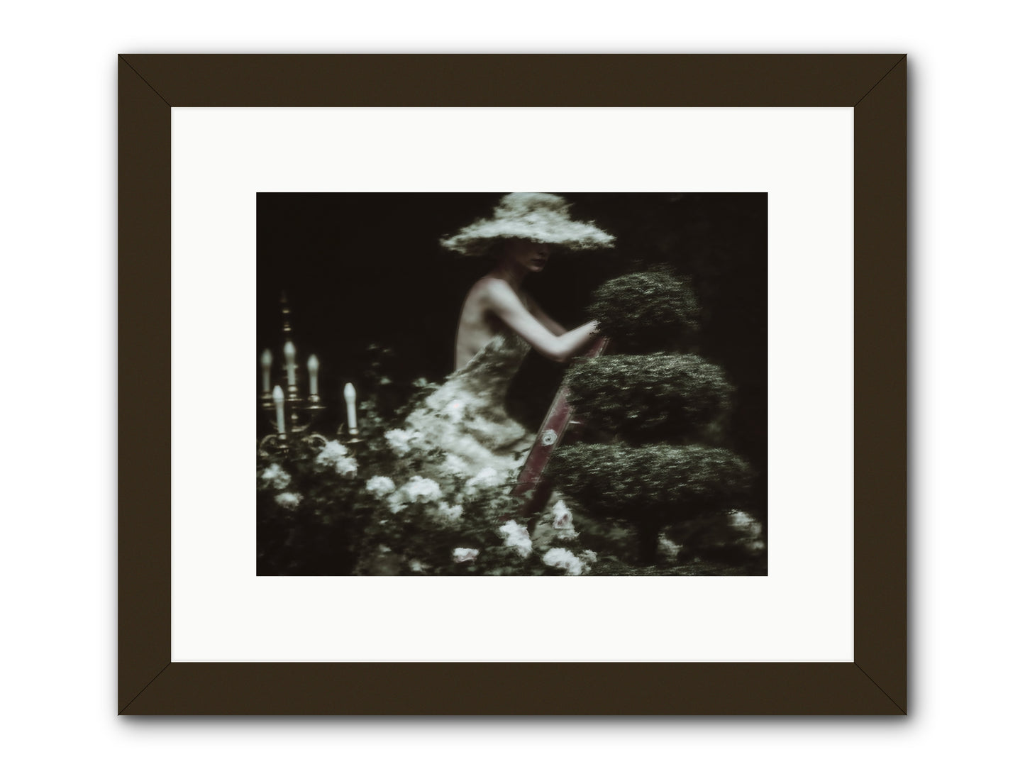 Garden Architecture -- Framed Print - Black 12x9