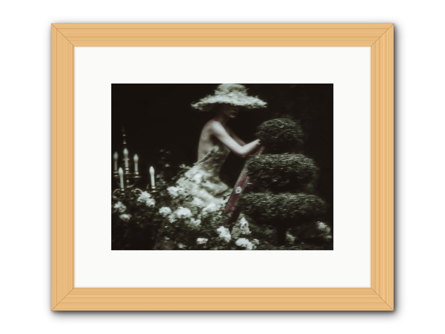 Garden Architecture -- Framed Print - Natural 12x9