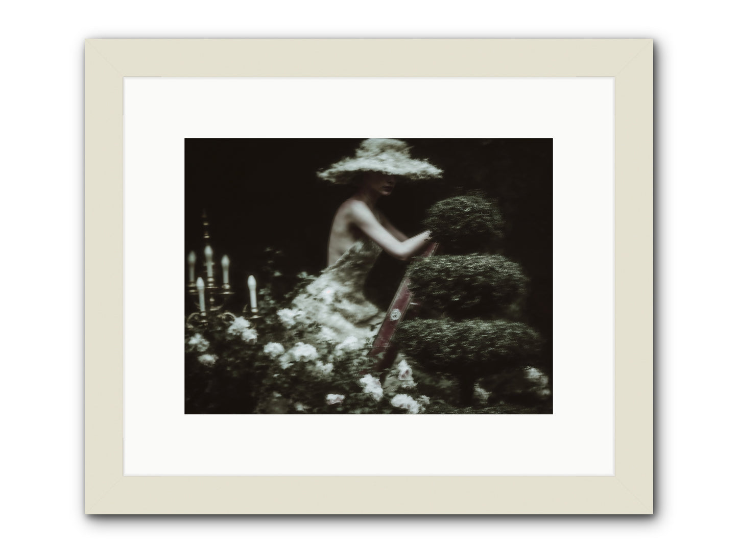 Garden Architecture -- Framed Print - White 12x9