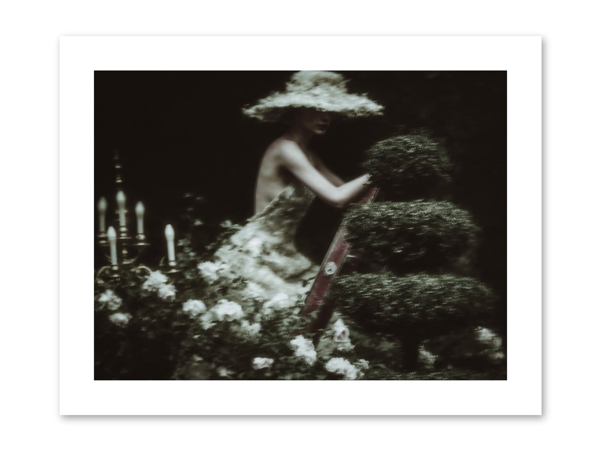 Garden Architecture -- Paper Print 12x9