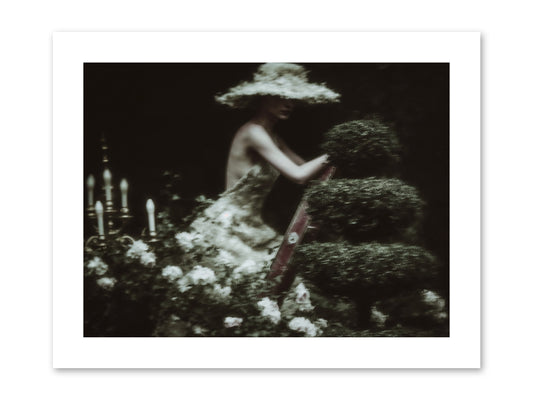 Garden Architecture -- Paper Print 12x9