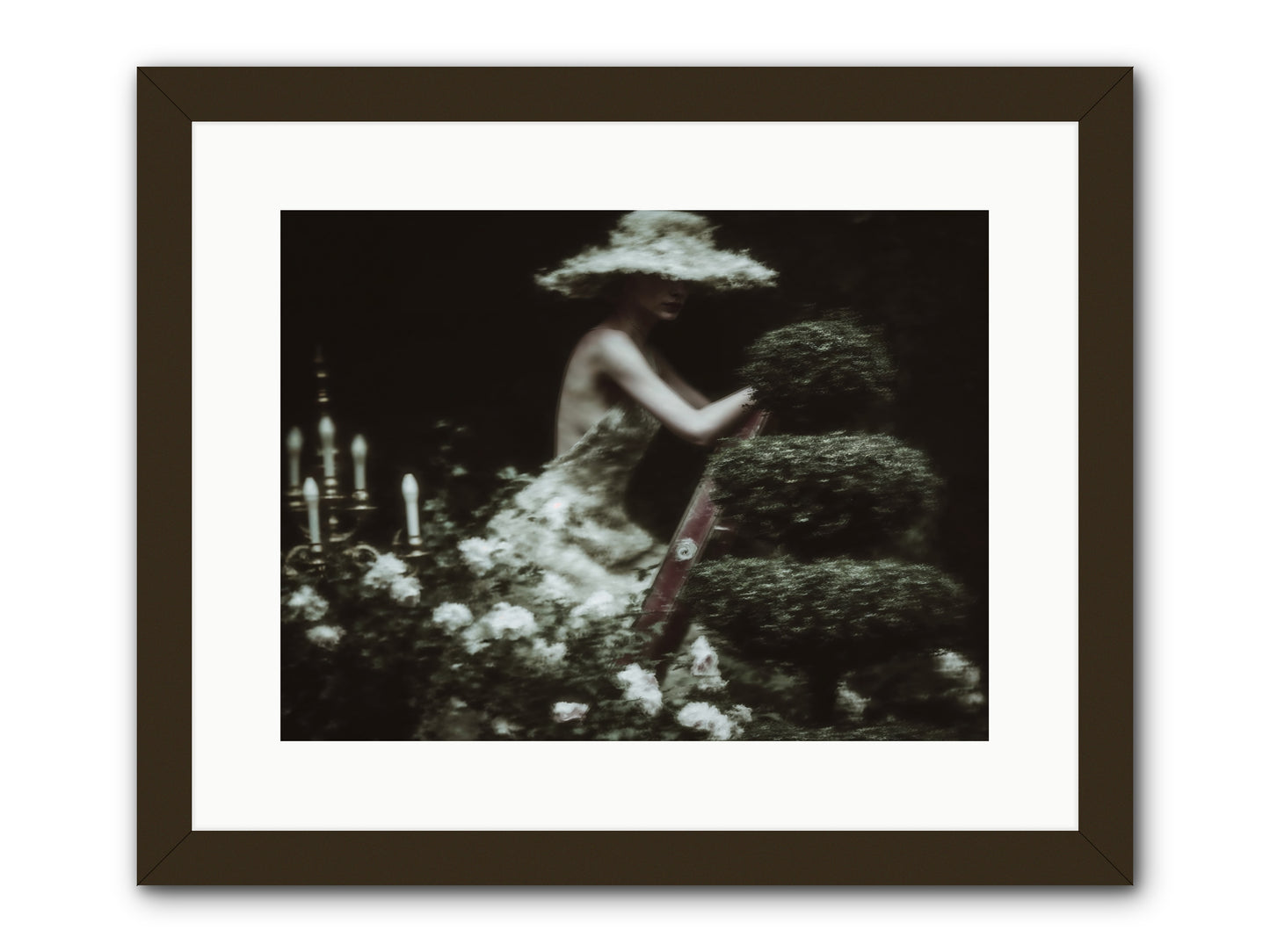 Garden Architecture -- Framed Print - Black 16x12