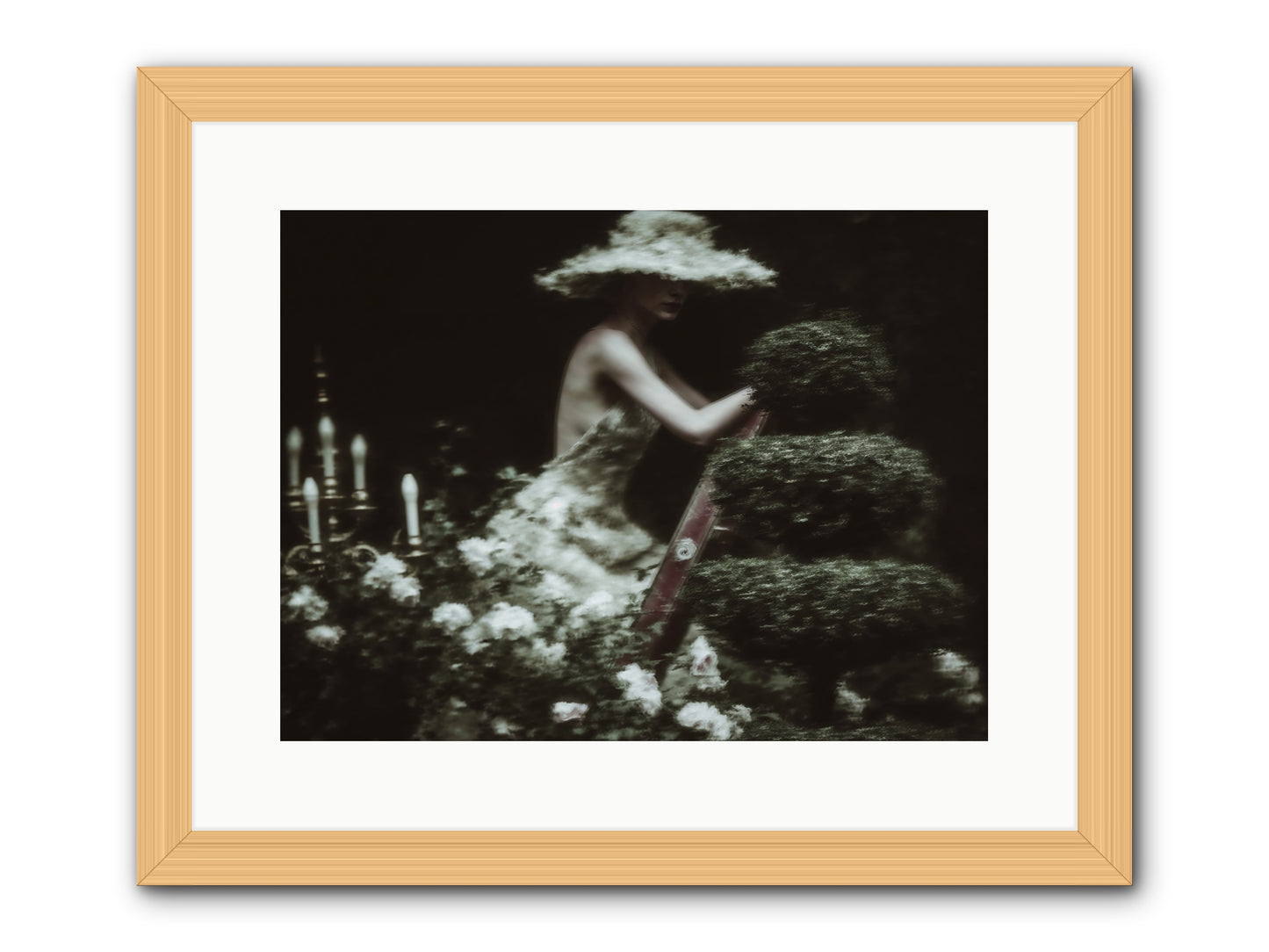Garden Architecture -- Framed Print - Natural 16x12
