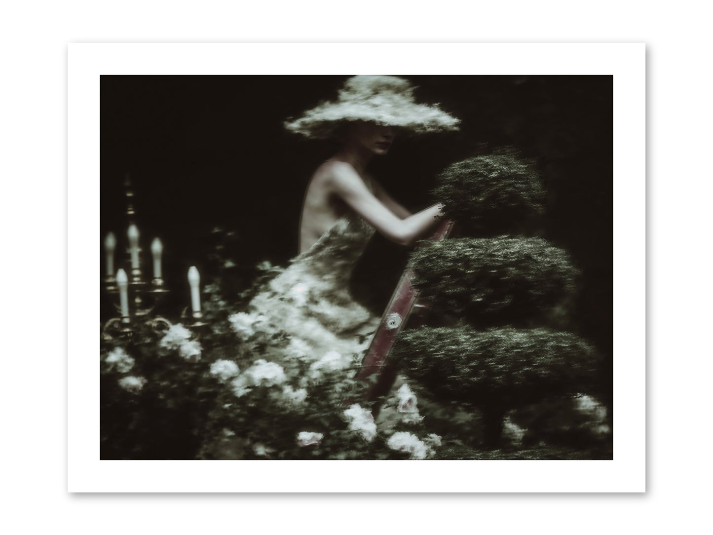 Garden Architecture -- Loose Canvas Print 16x12