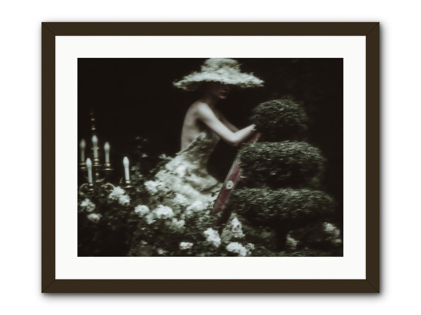 Garden Architecture -- Framed Print - Black 24x18