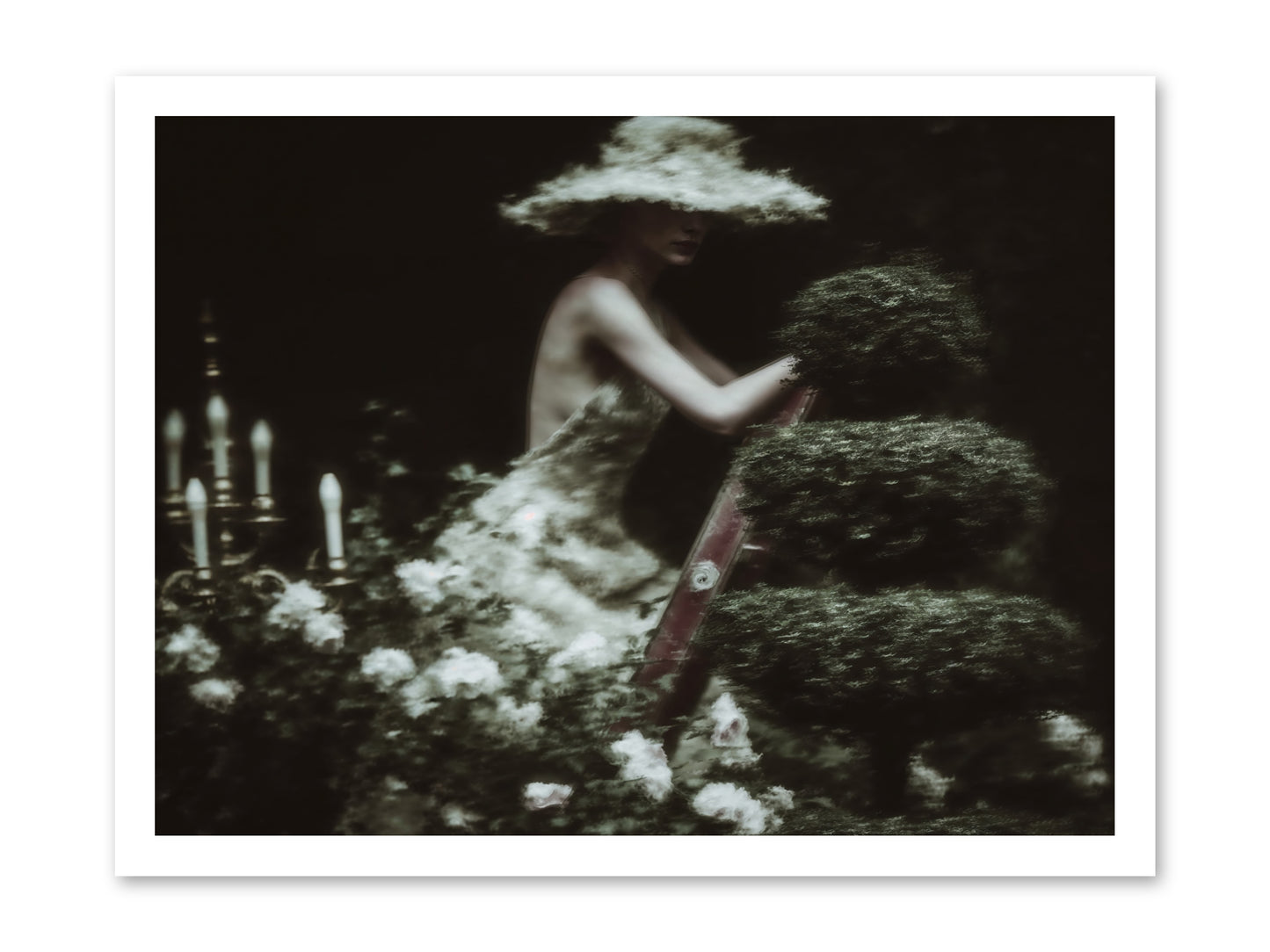 Garden Architecture -- Paper Print 24x18