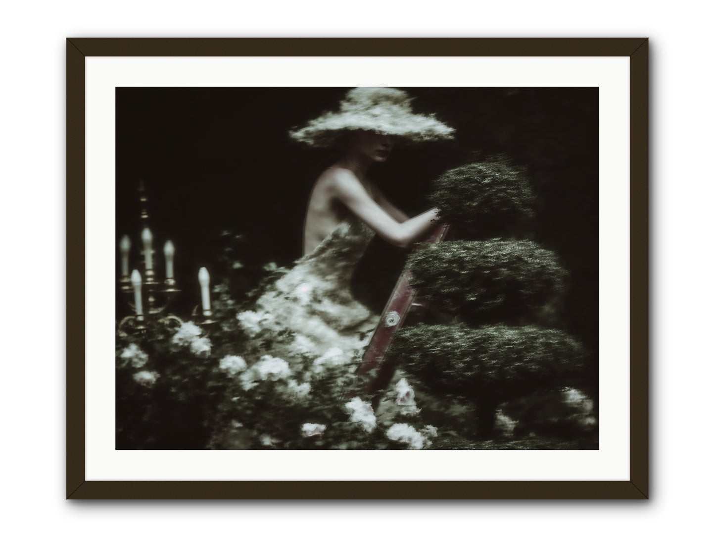 Garden Architecture -- Framed Print - Black 32x24