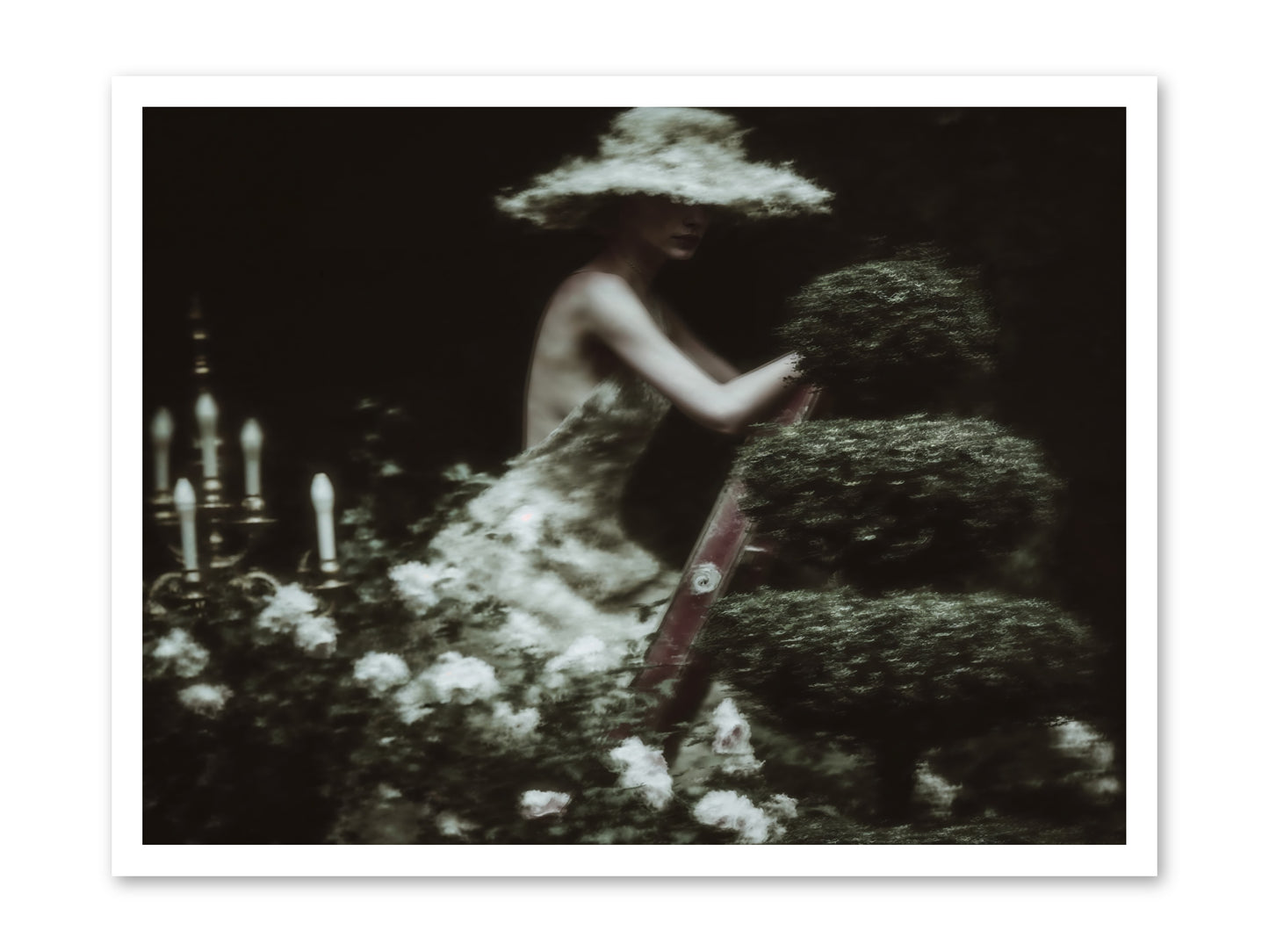 Garden Architecture -- Loose Canvas Print 32x24