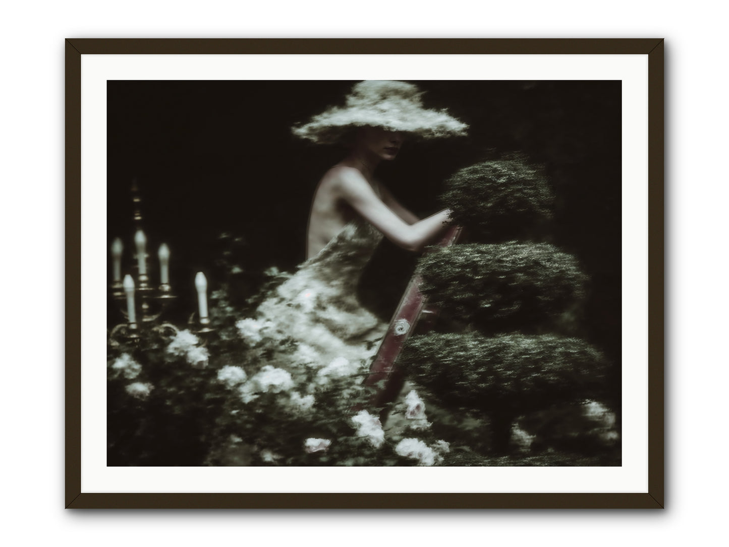 Garden Architecture -- Framed Print - Black 40x30
