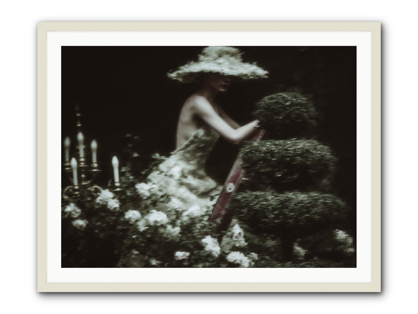 Garden Architecture -- Framed Print - White 40x30