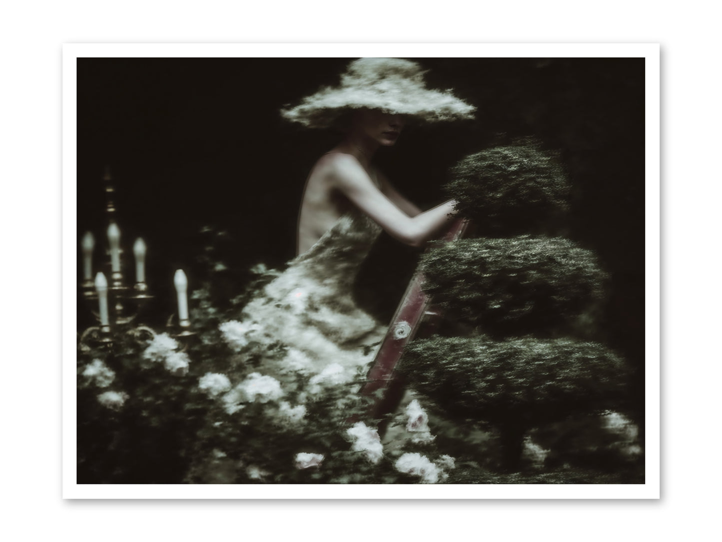 Garden Architecture -- Loose Canvas Print 40x30