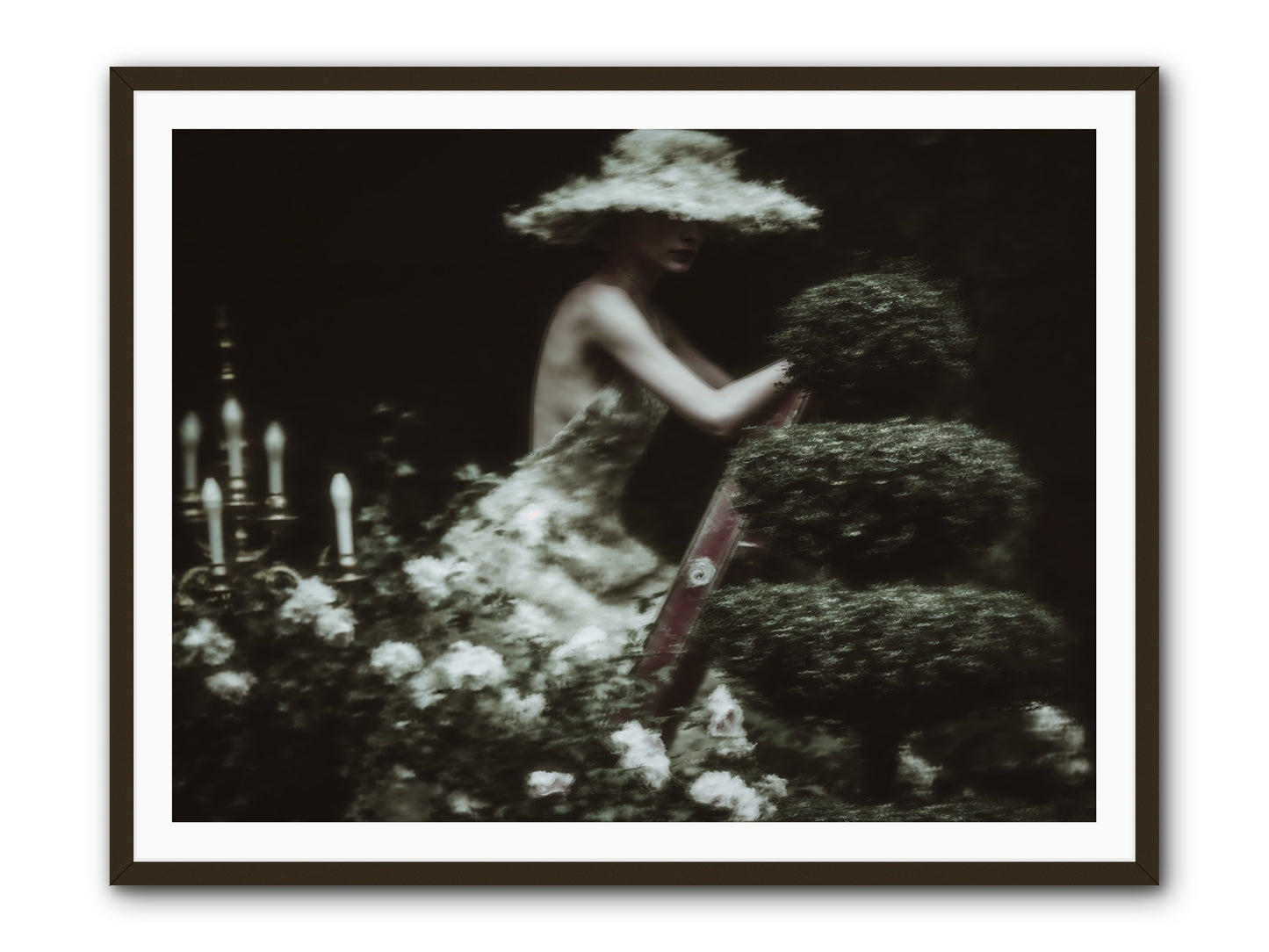 Garden Architecture -- Framed Print - Black 48x36