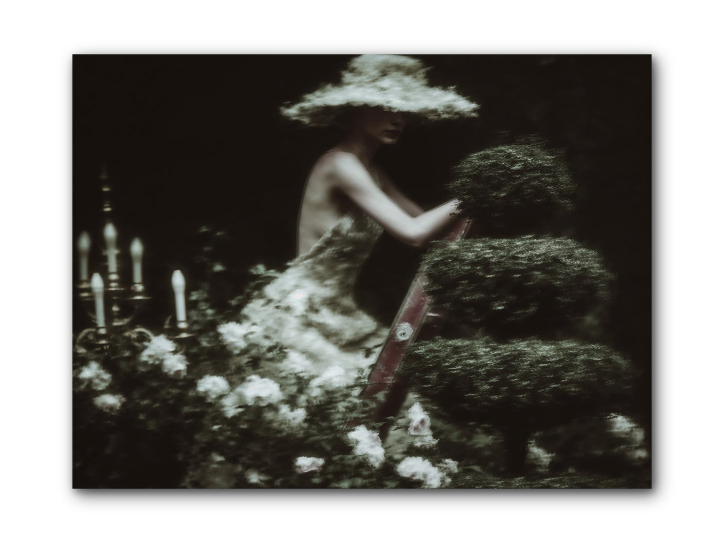 Garden Architecture -- Wrapped Canvas 12x9