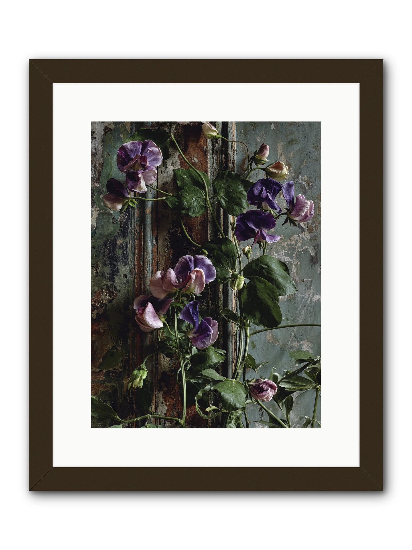 Garden Orphans -- Framed Print - Black 12x16
