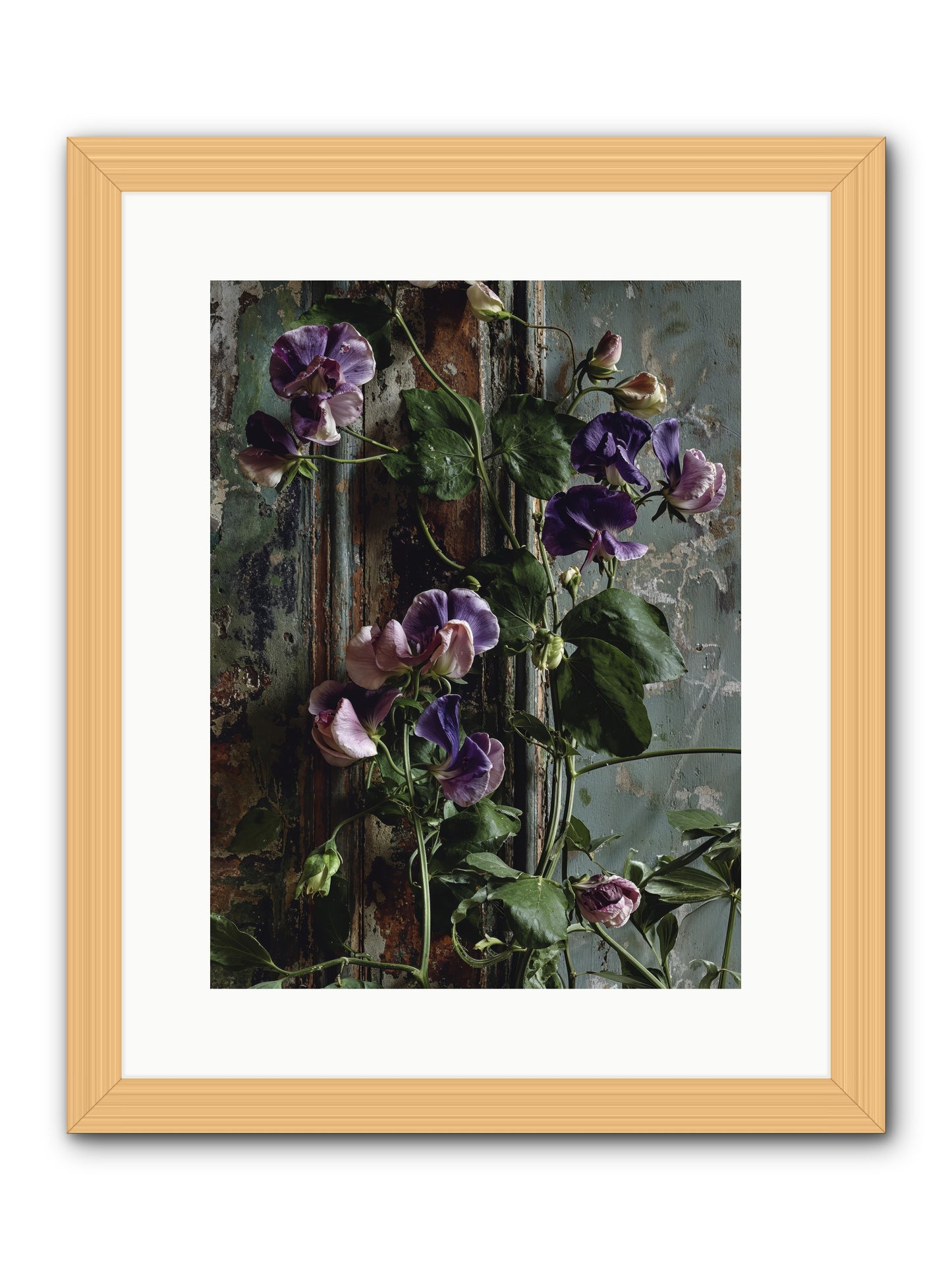 Garden Orphans -- Framed Print - Natural 12x16