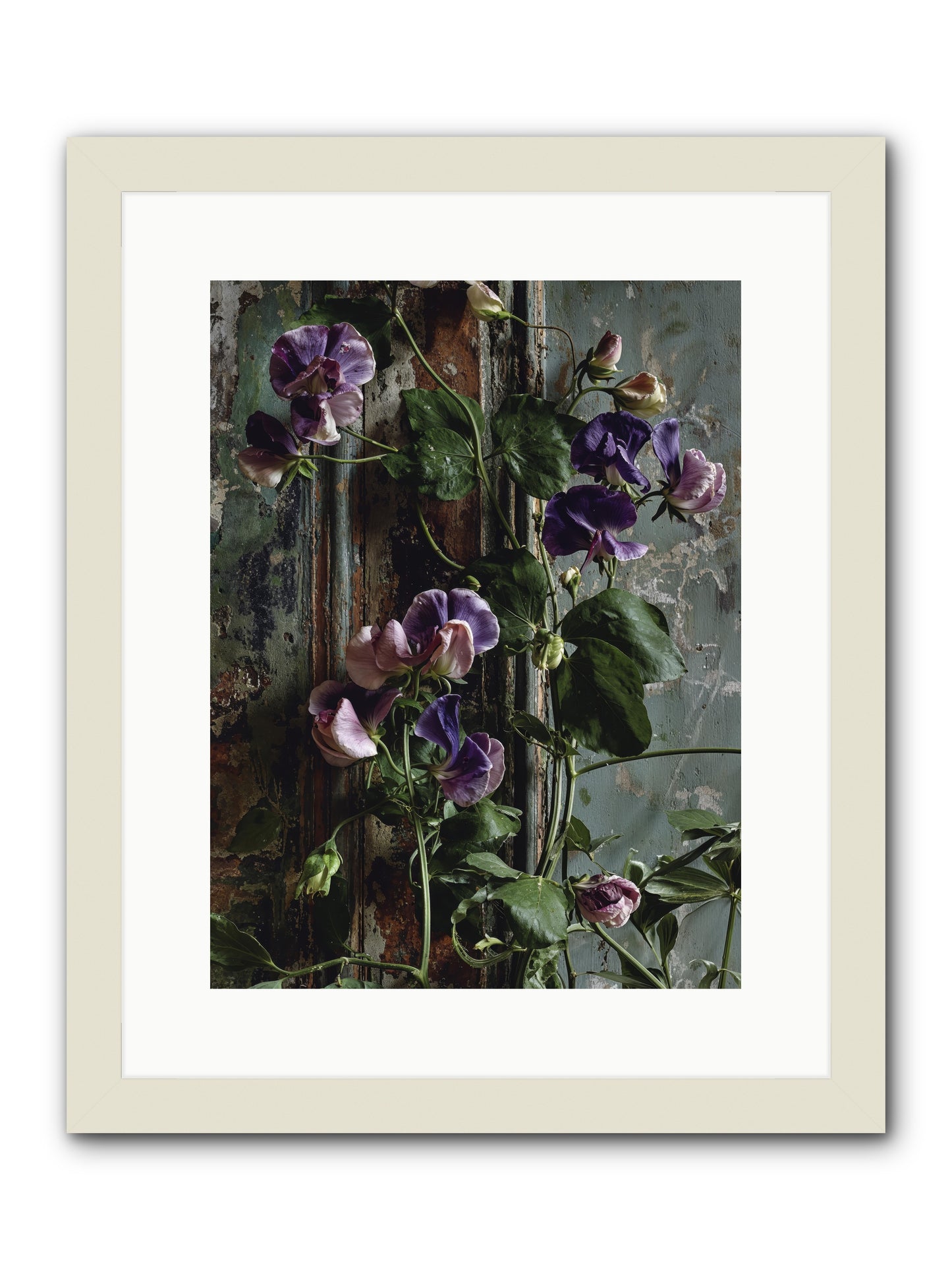 Garden Orphans -- Framed Print - White 12x16