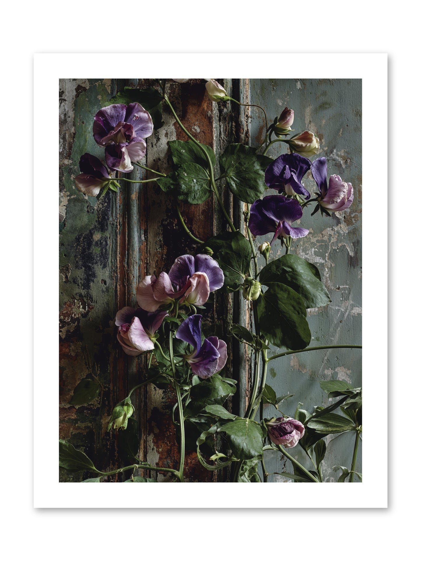 Garden Orphans -- Loose Canvas Print 12x16