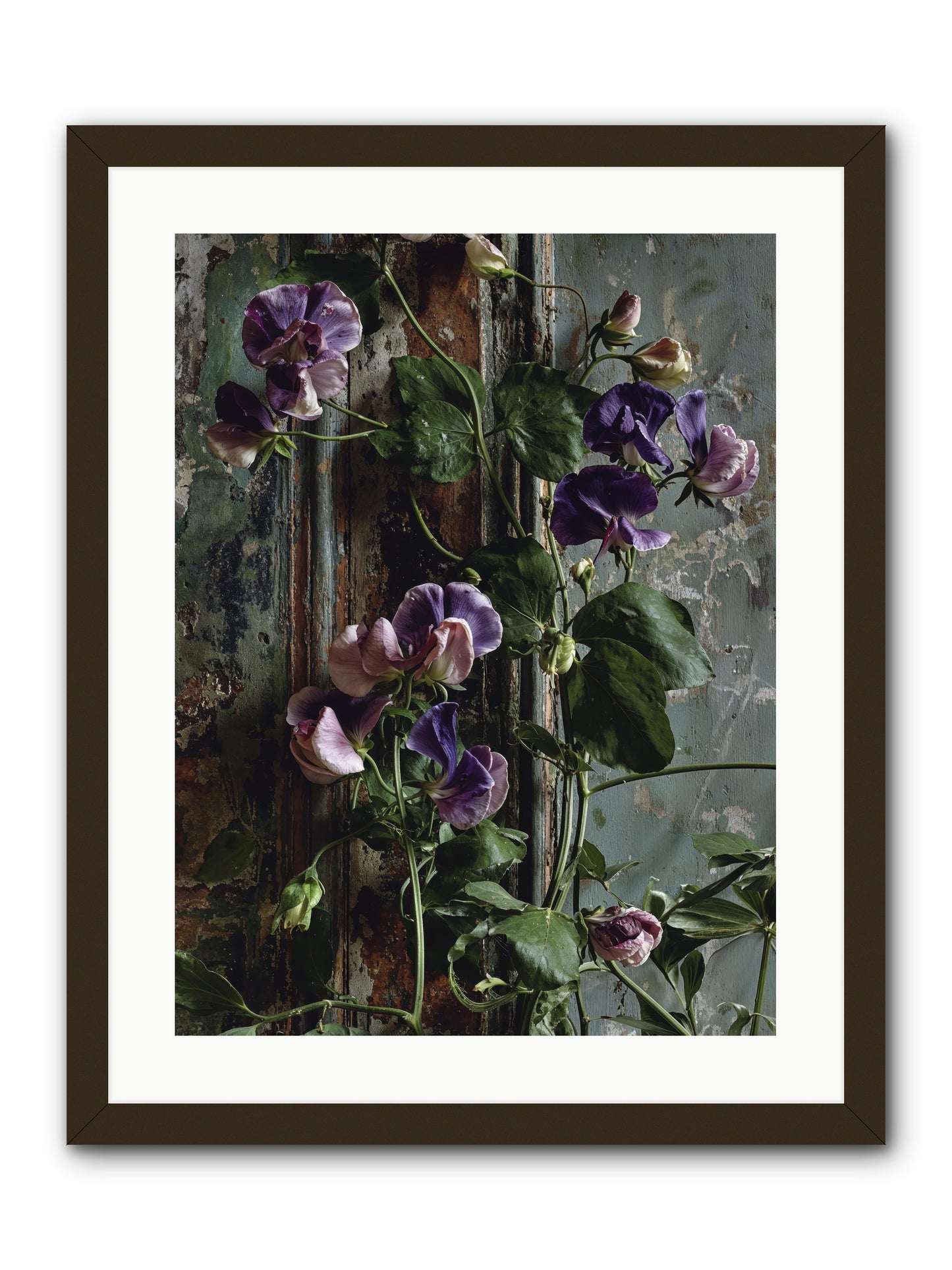 Garden Orphans -- Framed Print - Black 18x24