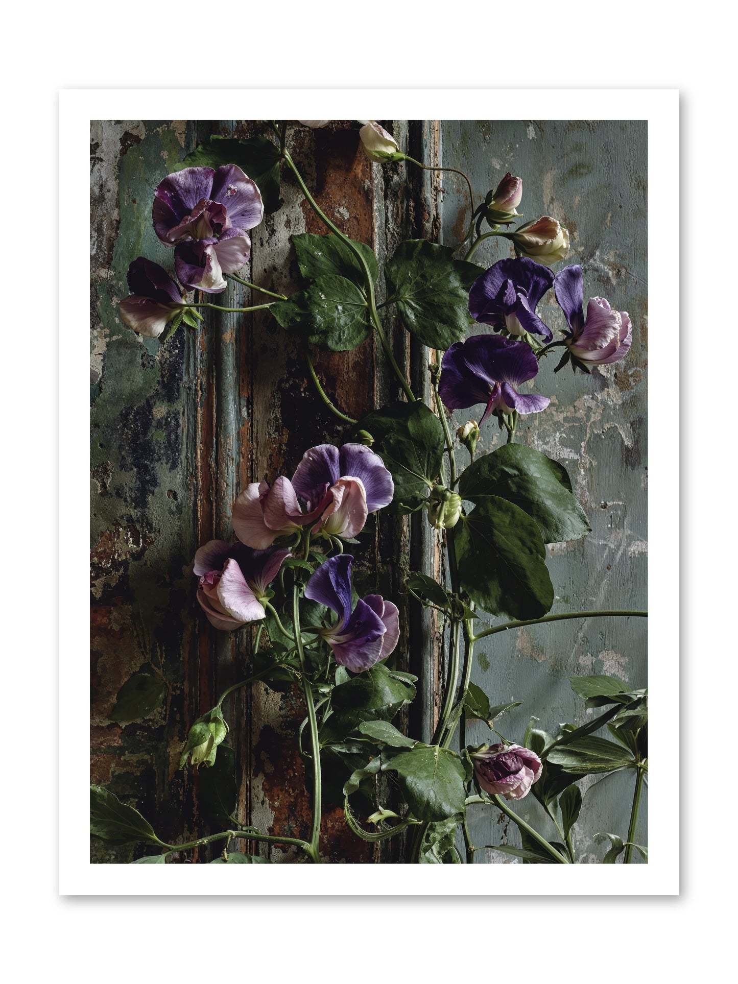 Garden Orphans -- Loose Canvas Print 18x24