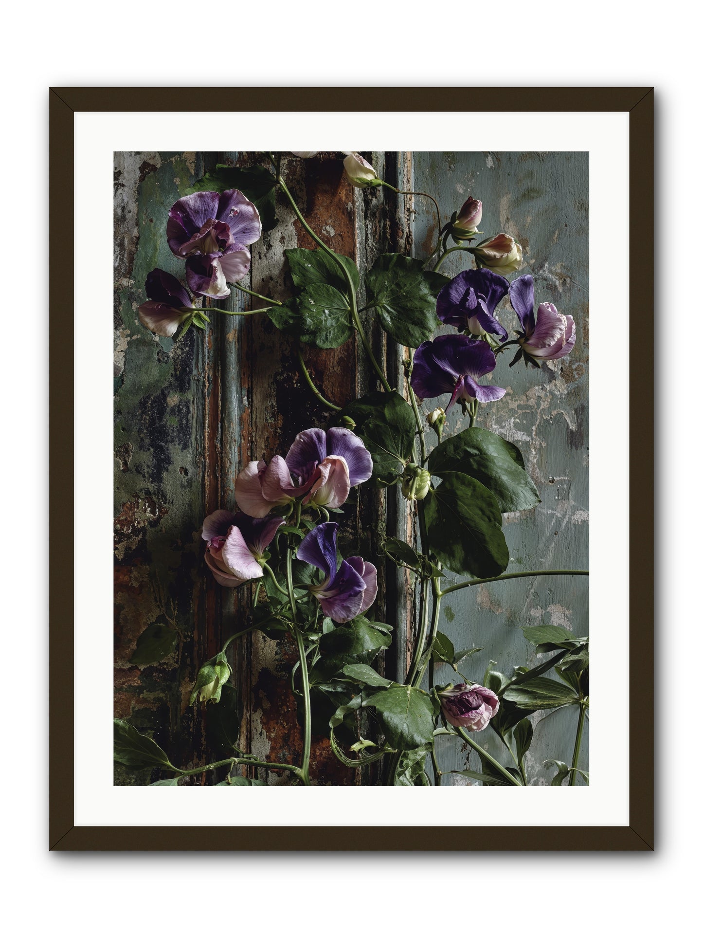 Garden Orphans -- Framed Print - Black 24x32