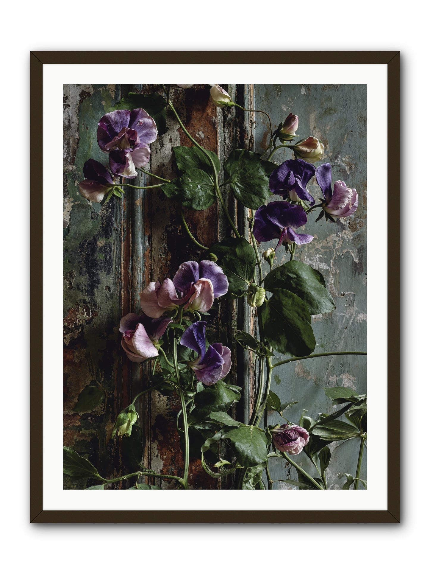Garden Orphans -- Framed Print - Black 30x40