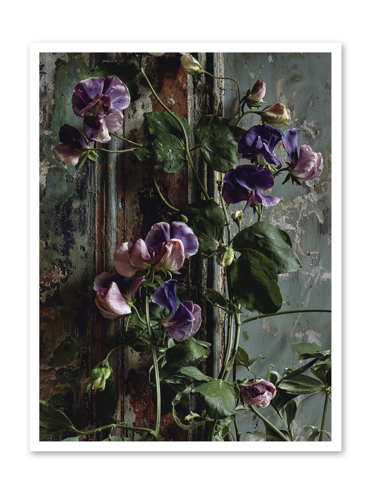 Garden Orphans -- Loose Canvas Print 30x40