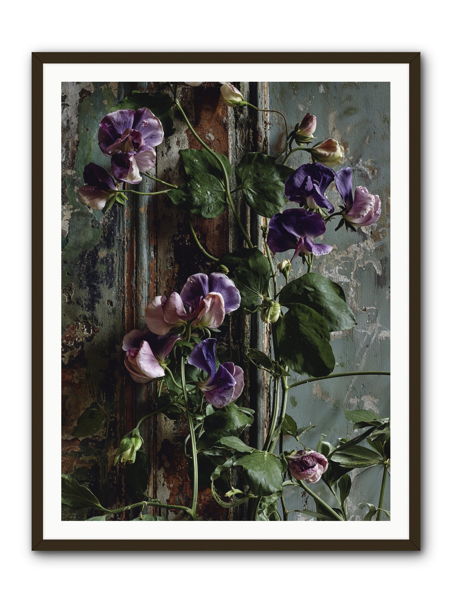 Garden Orphans -- Framed Print - Black 36x48