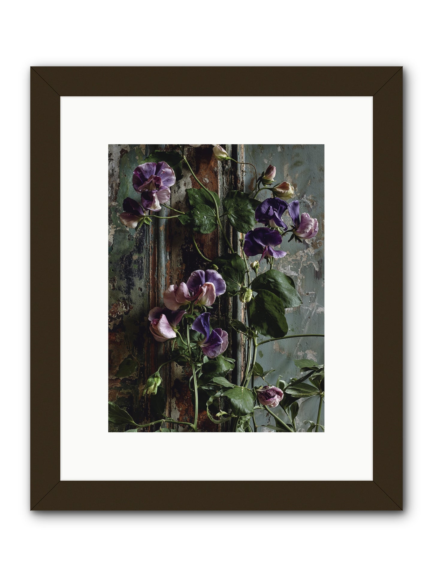 Garden Orphans -- Framed Print - Black 9x12