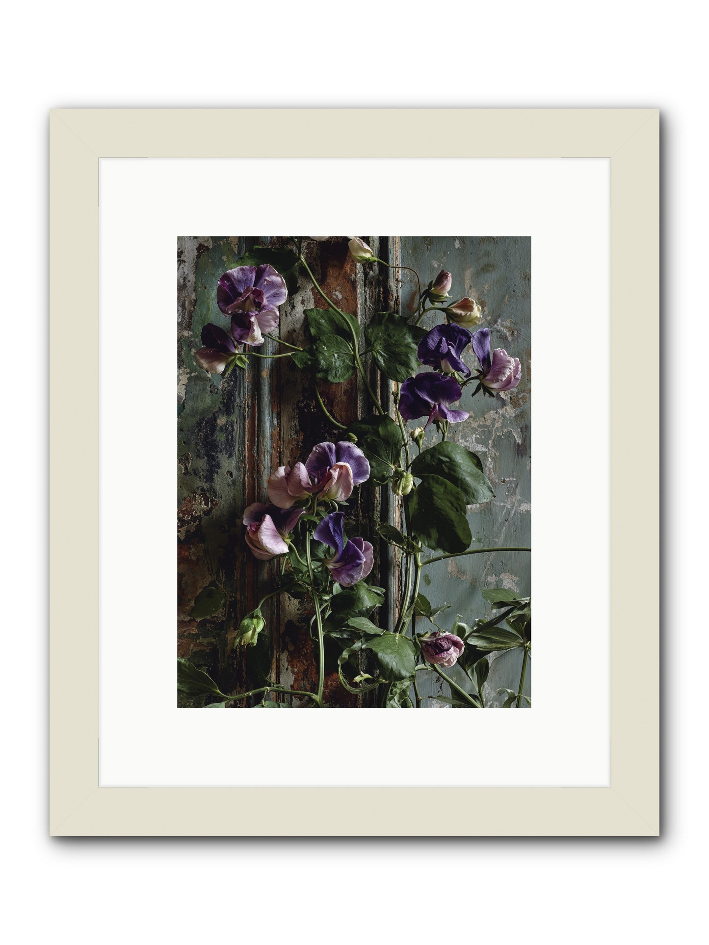 Garden Orphans -- Framed Print - White 9x12