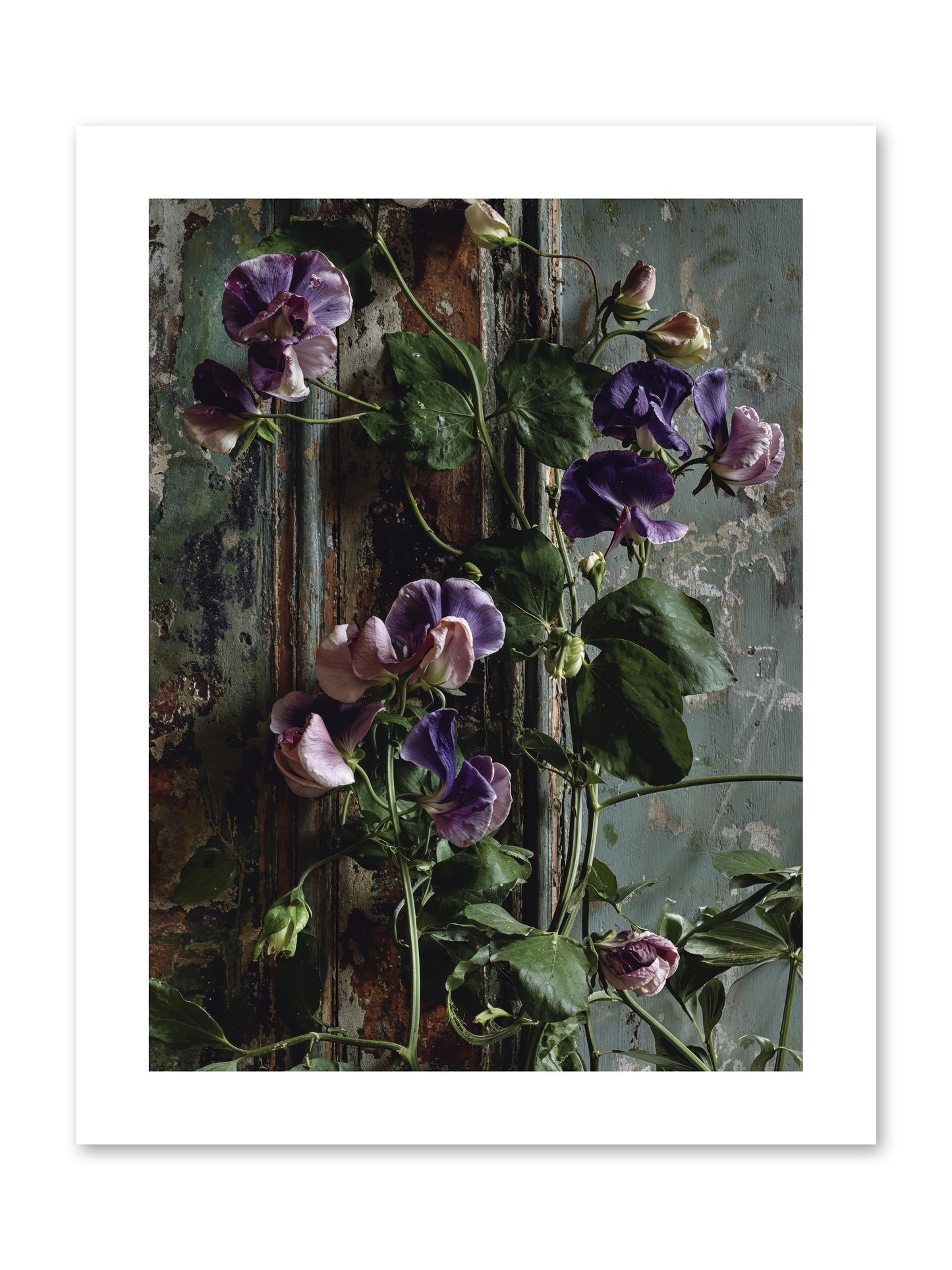 Garden Orphans -- Loose Canvas Print 9x12