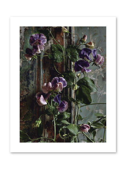 Garden Orphans -- Paper Print 9x12