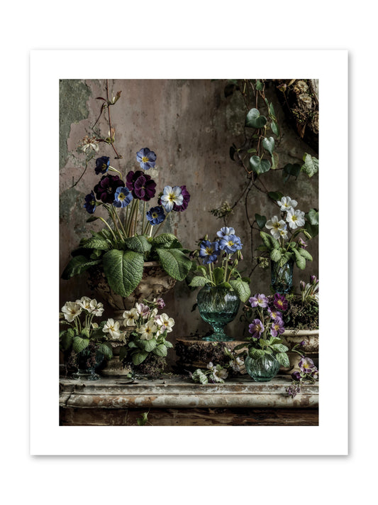 Gathered -- Paper Print 9x12