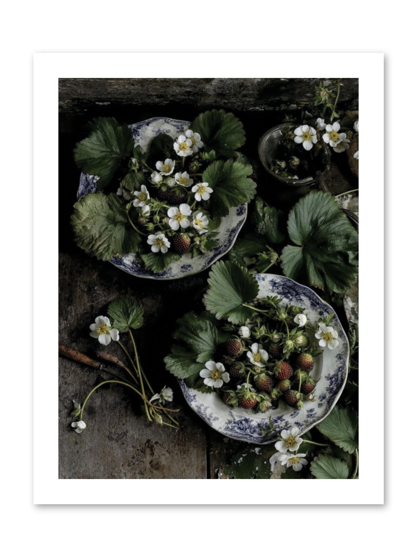 Good wishes -- Loose Canvas Print 12x16