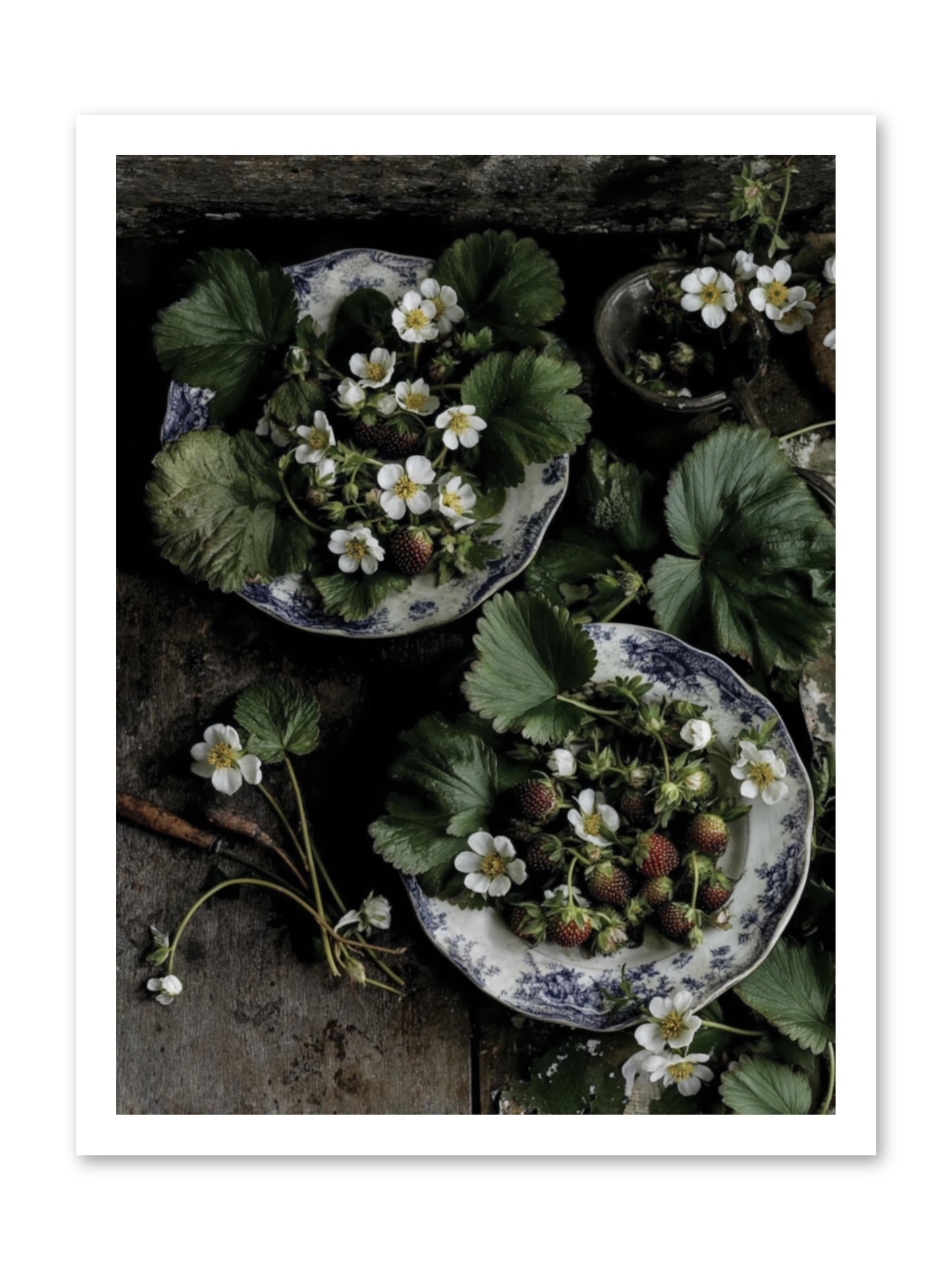 Good wishes -- Loose Canvas Print 18x24