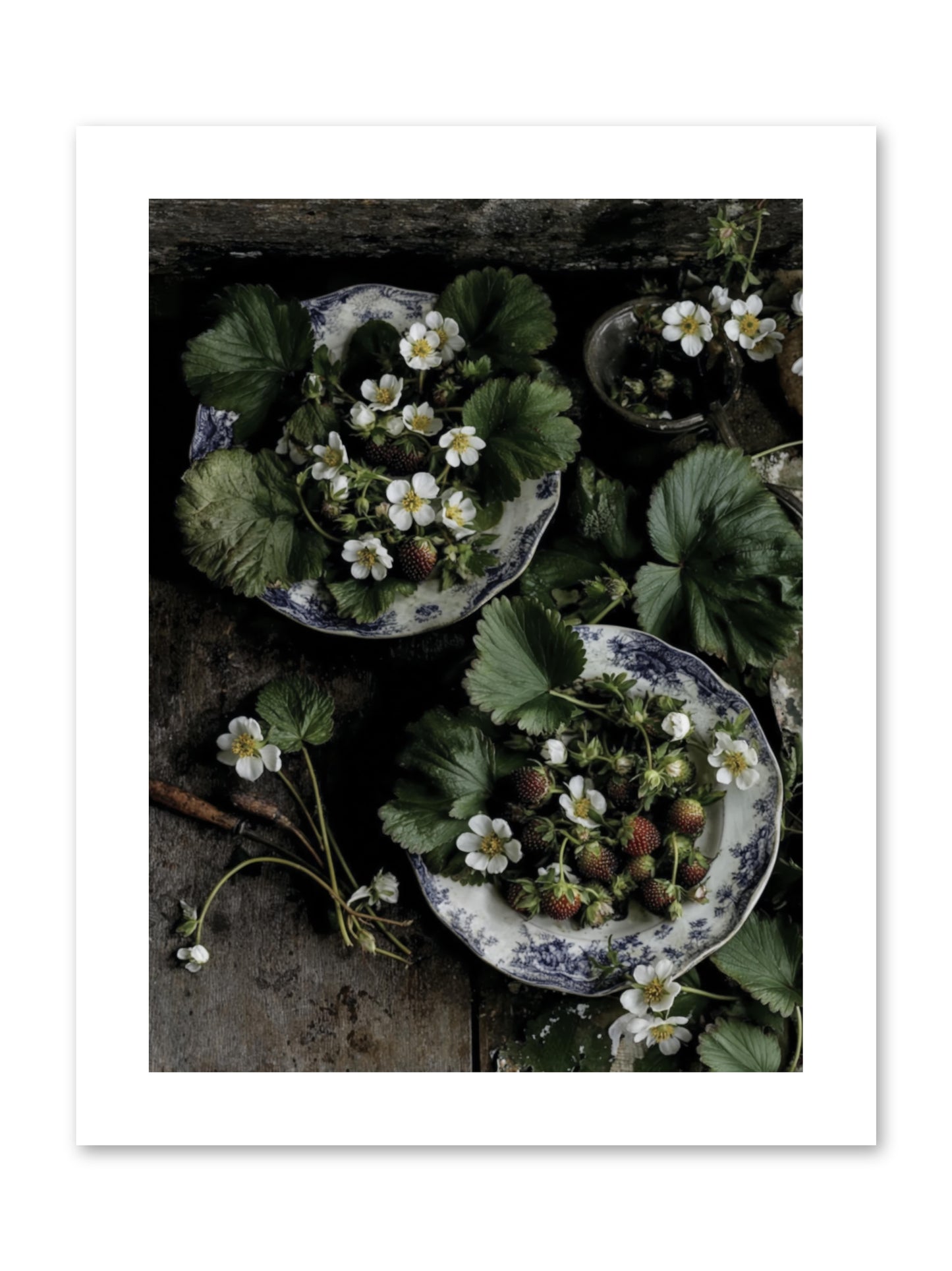 Good wishes -- Loose Canvas Print 9x12