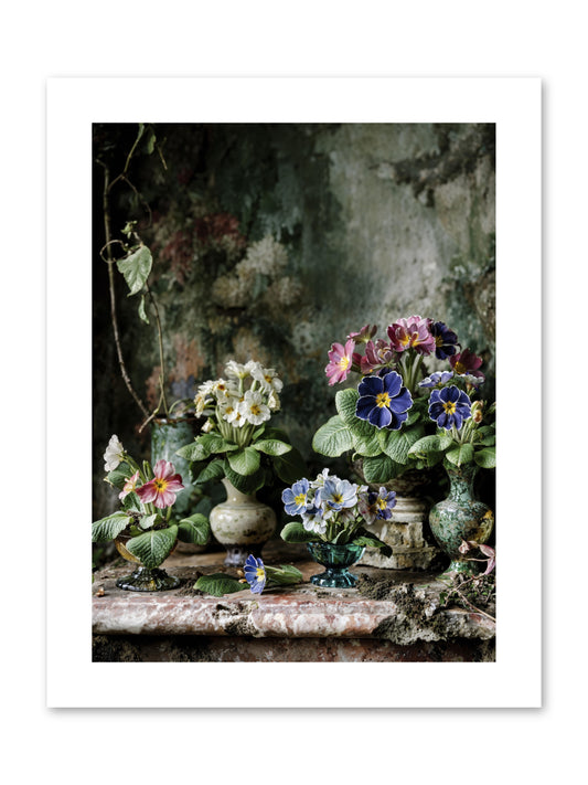 Grace grows here -- Paper Print 9x12