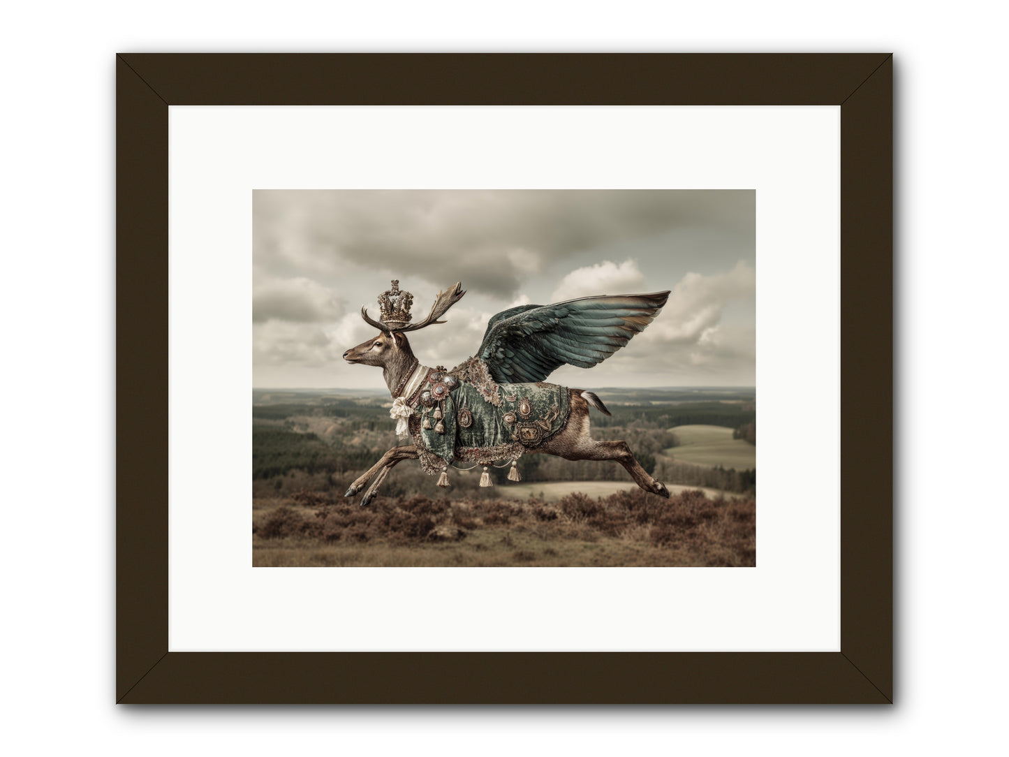 Hollow Field -- Framed Print - Black 12x9