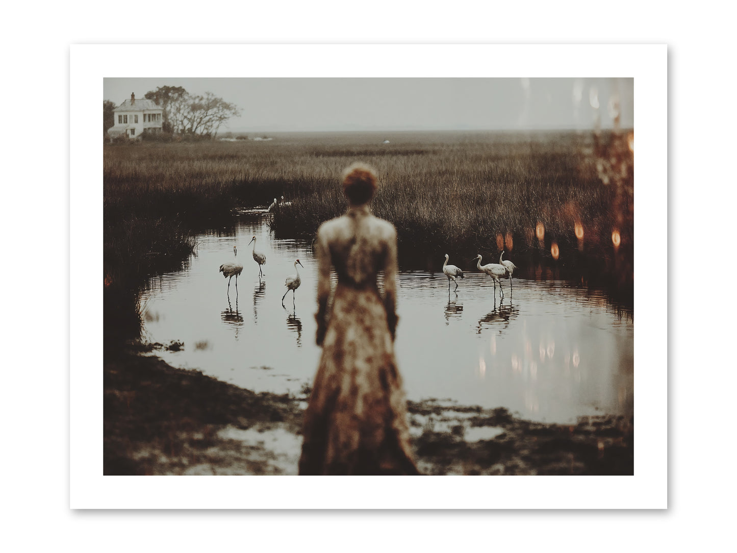 Instructions for Flight -- Loose Canvas Print 16x12
