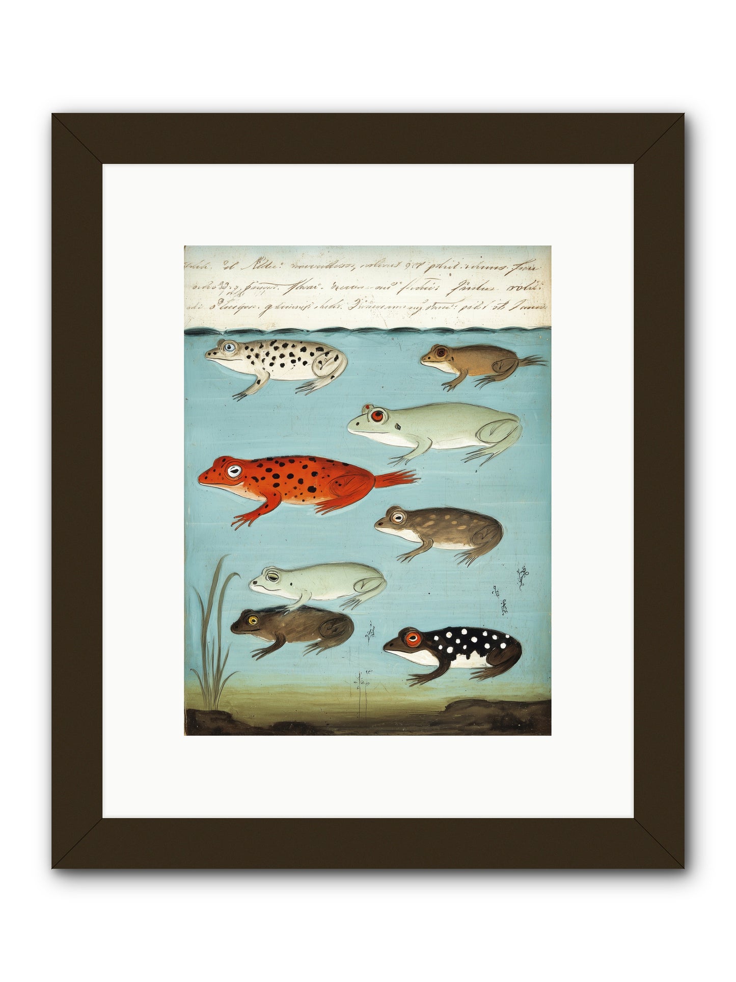 Jeweled Gathering -- Framed Print - Black 9x12