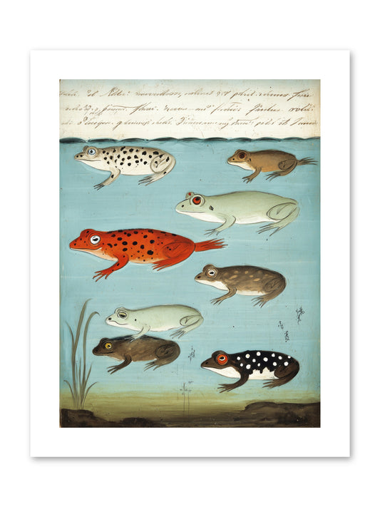 Jeweled Gathering -- Paper Print 9x12