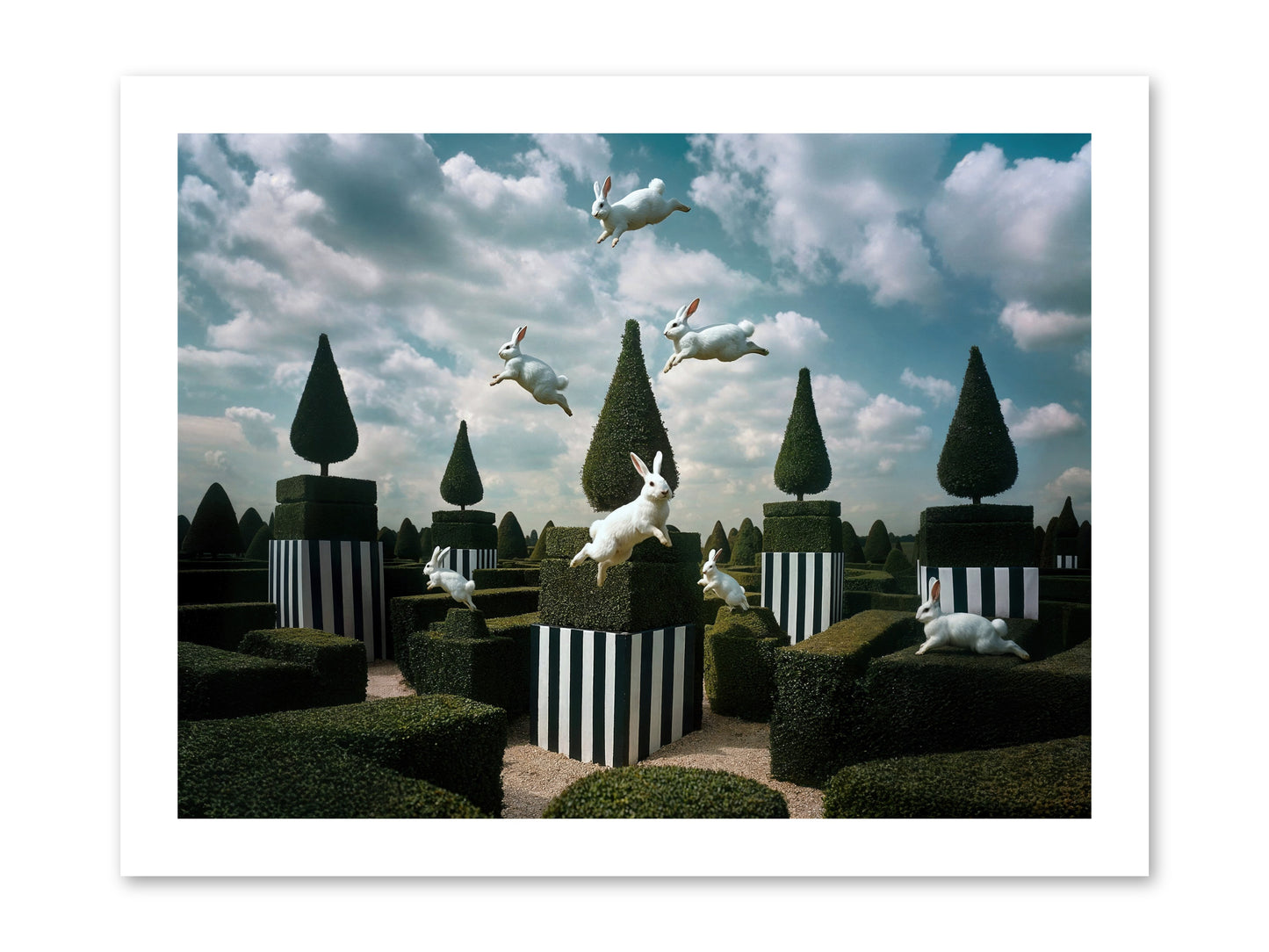Jolly Good Time No. 2 -- Loose Canvas Print 16x12