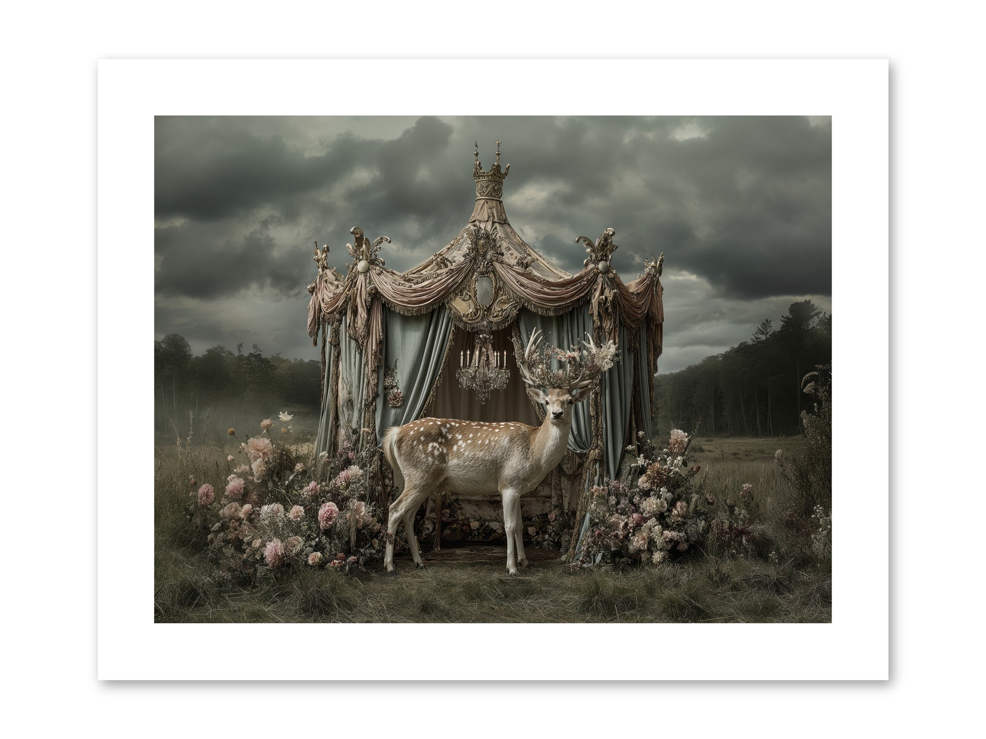 Meadow of Apricot Wind -- Paper Print 12x9
